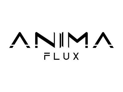 Anima Flux Selected for GDC Pitch: Meet the Co-op Metroidvania Revolution